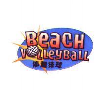 沙灘排球 Beach VolleyBall 及圖