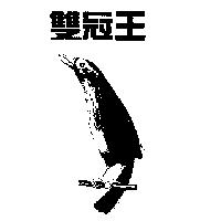 雙冠王及圖