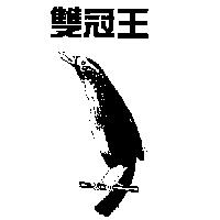雙冠王及圖
