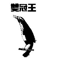 雙冠王及圖
