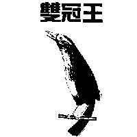 雙冠王及圖