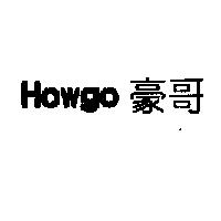 Howgo 豪哥