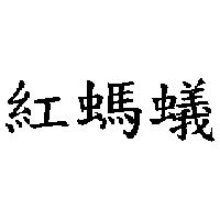 紅螞蟻