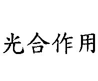 光合作用