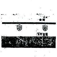正光金黃及圖