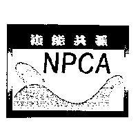 複能共振 NPCA 及圖