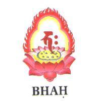 BHAH 及圖