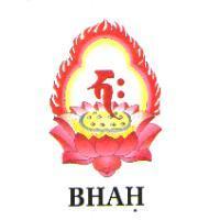 BHAH 及圖
