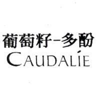 葡萄籽-多酚 CAUDALIE