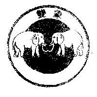 雙象