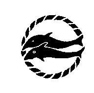 雙魚圖形