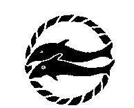 雙魚圖形
