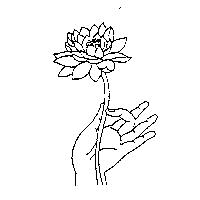 手持蓮花圖