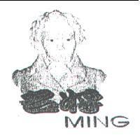 名將 MING 及圖