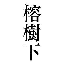 榕樹下