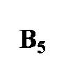 B5