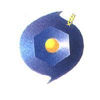 新生源公司標章