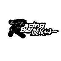 競技小子及圖 RACING BOY