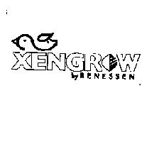 XENGROW BY RENESSEN AND DESIGN