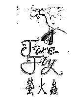 螢火蟲 FIRE FLY 及圖