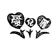 愛兒麗及圖