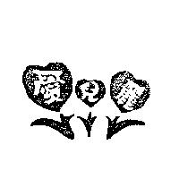 愛兒麗及圖