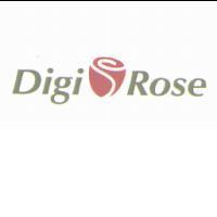 Digi Rose 及圖