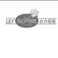 LILY FLOWERS 百合花苑及圖 IN YOUR LIFE