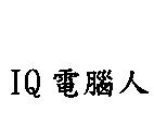 IQ 電腦人