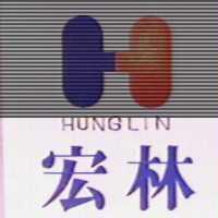 宏林及圖 HUNG LIN (彩色)