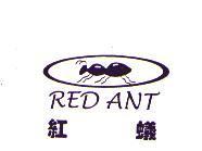 紅蟻 RED ANT 及圖