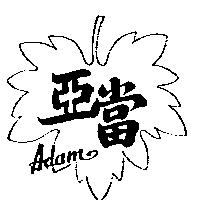 亞當及圖 ADAM 