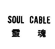 SOUL CABLE 靈魂