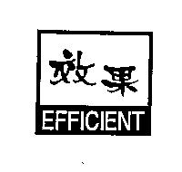 效果 EFFICIENT 及圖