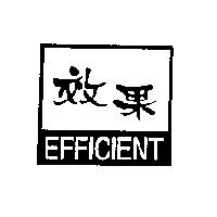 效果 EFFICIENT 及圖