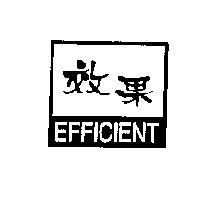 效果 EFFICIENT 及圖