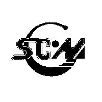 保安久衛星通信網路股份有限公司標章