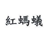 紅螞蟻