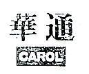華通 CAROL 