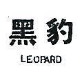 黑豹 LEOPARD 
