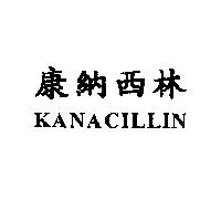 康納西林 KANACILLIN