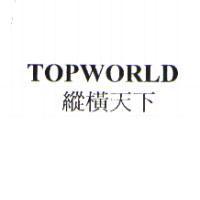 縱橫天下 TOPWORLD
