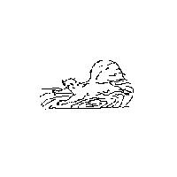 松鼠圖