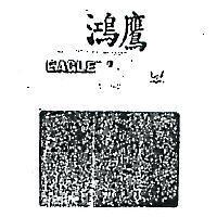 鴻鷹及圖 EAGLAE 
