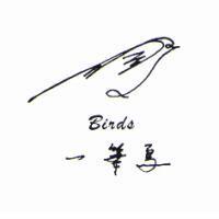 一筆鳥 Birds 及圖