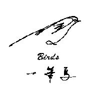 一筆鳥 Birds 及圖形