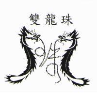 雙龍珠及圖