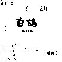 白鴿 PIGEON