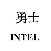 勇士 INTEL
