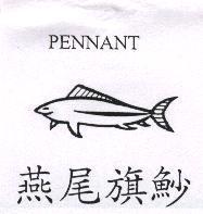 燕尾旗魦 PENNANT 及圖